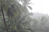 Mangalore gets highest rainfall of 93mm